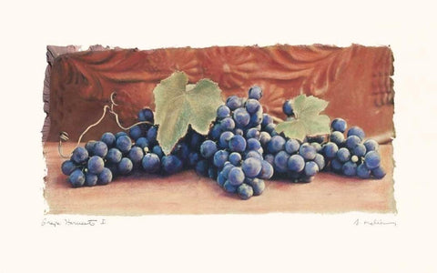 Grape Harvest I White Modern Wood Framed Art Print with Double Matting by Melious, Amy