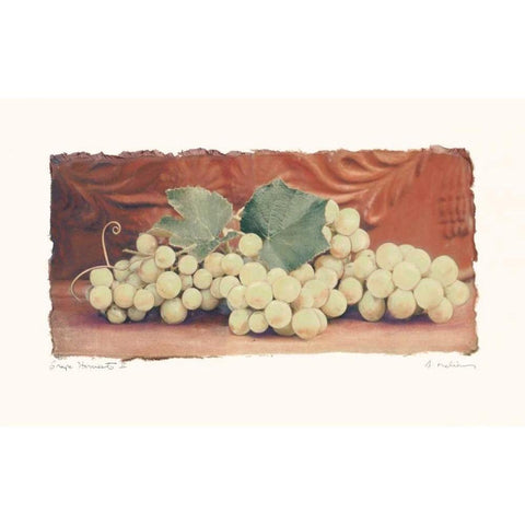 Grape Harvest II Gold Ornate Wood Framed Art Print with Double Matting by Melious, Amy