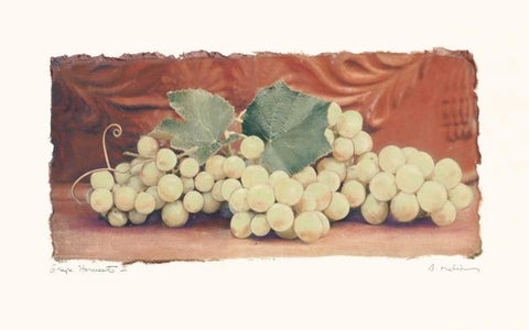 Grape Harvest II Black Ornate Wood Framed Art Print with Double Matting by Melious, Amy