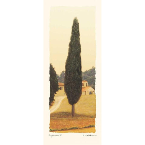 Cypress I Gold Ornate Wood Framed Art Print with Double Matting by Melious, Amy