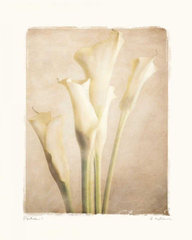 Poetica I White Modern Wood Framed Art Print with Double Matting by Melious, Amy