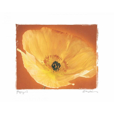 Poppy I Gold Ornate Wood Framed Art Print with Double Matting by Melious, Amy