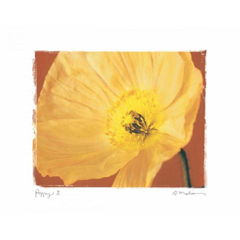 Poppy II Gold Ornate Wood Framed Art Print with Double Matting by Melious, Amy