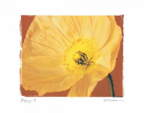 Poppy II White Modern Wood Framed Art Print with Double Matting by Melious, Amy