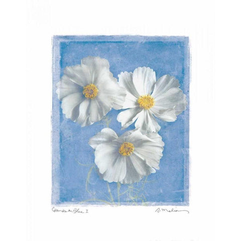 Cosmos on Blue I White Modern Wood Framed Art Print by Melious, Amy