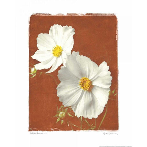White Cosmos II Gold Ornate Wood Framed Art Print with Double Matting by Melious, Amy