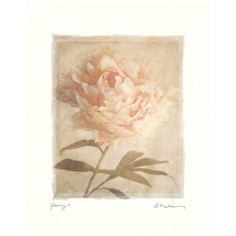 Peony Gold Ornate Wood Framed Art Print with Double Matting by Melious, Amy