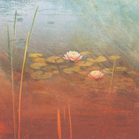 Pond Lilies II Gold Ornate Wood Framed Art Print with Double Matting by Melious, Amy