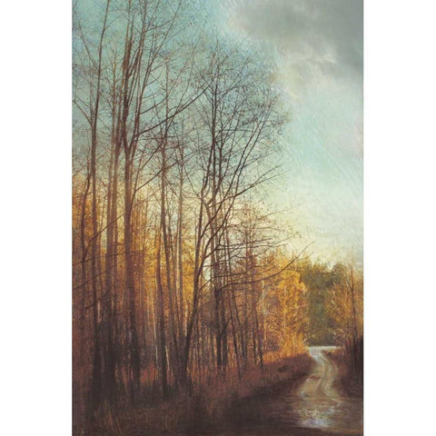 Winter Light I Black Modern Wood Framed Art Print with Double Matting by Melious, Amy