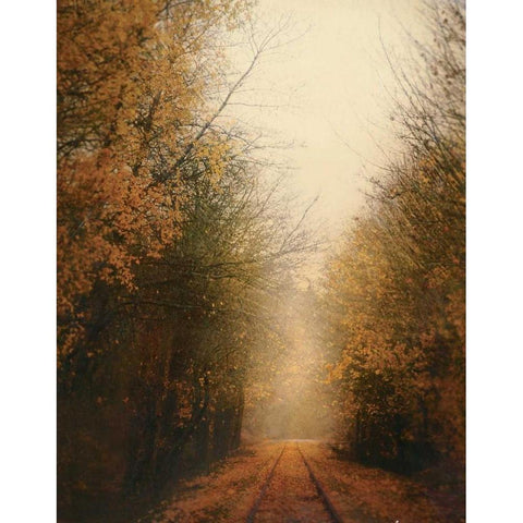 Road of Mysteries I Black Modern Wood Framed Art Print with Double Matting by Melious, Amy