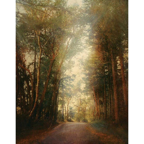 Road of Mysteries II Gold Ornate Wood Framed Art Print with Double Matting by Melious, Amy