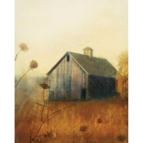 Avonlea II Black Modern Wood Framed Art Print by Melious, Amy