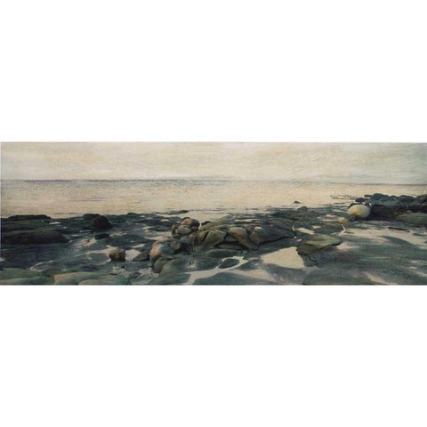 Rocky Shores II Gold Ornate Wood Framed Art Print with Double Matting by Melious, Amy