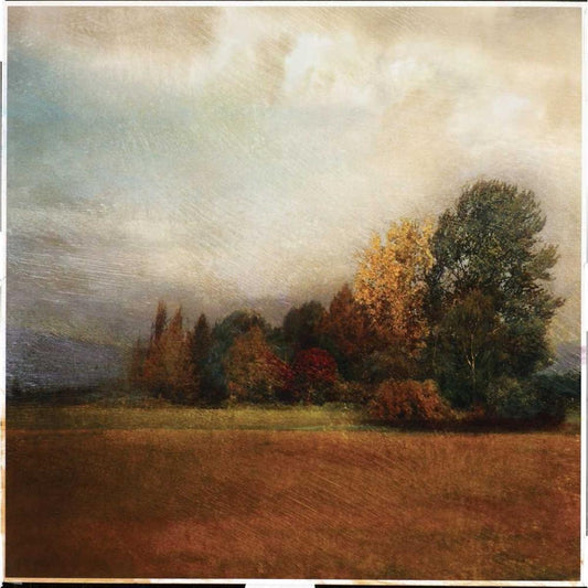 Image Only
