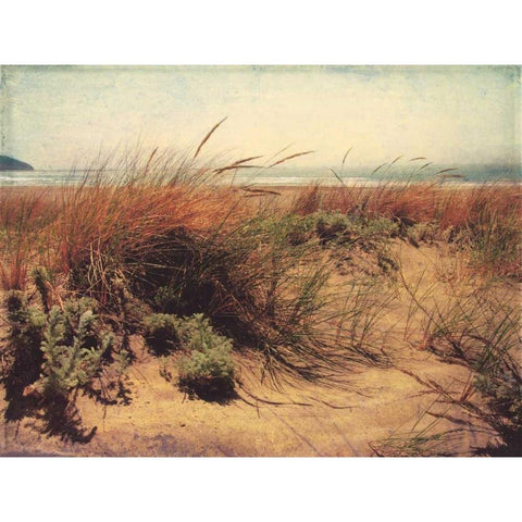 Sand Dunes I Gold Ornate Wood Framed Art Print with Double Matting by Melious, Amy