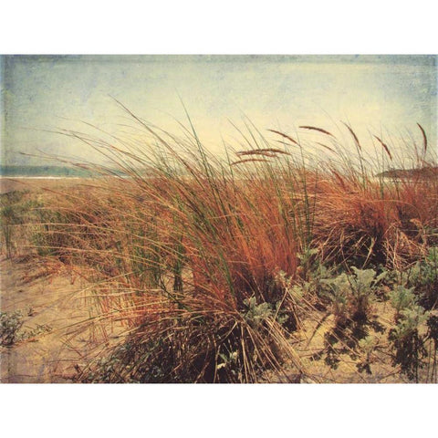 Sand Dunes II Gold Ornate Wood Framed Art Print with Double Matting by Melious, Amy