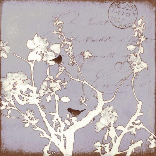 Image Only