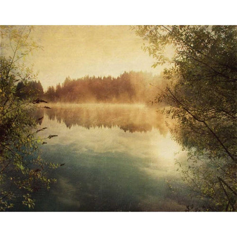 Sunset II Gold Ornate Wood Framed Art Print with Double Matting by Melious, Amy