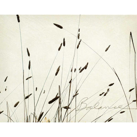 Grass Balance Black Modern Wood Framed Art Print with Double Matting by Melious, Amy