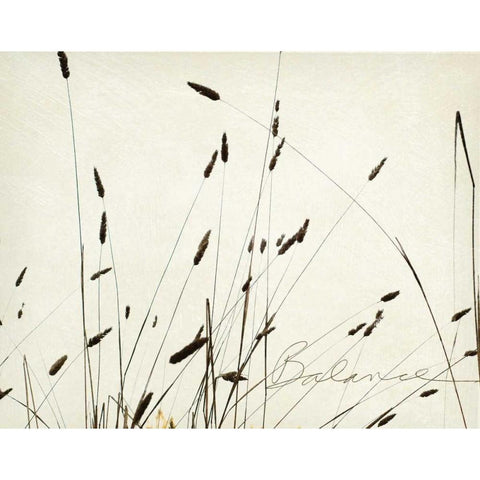 Grass Balance Gold Ornate Wood Framed Art Print with Double Matting by Melious, Amy