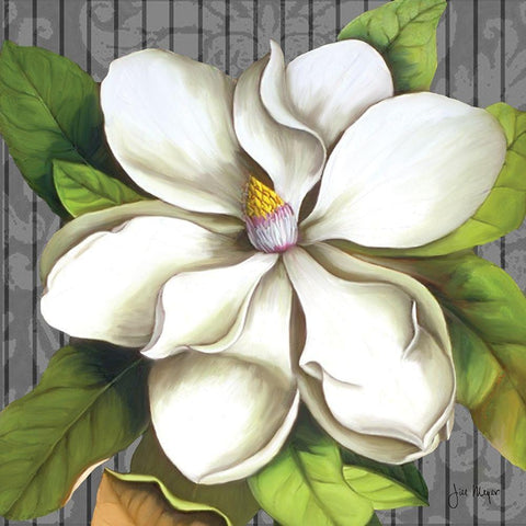 Magnificent Magnolias I Black Modern Wood Framed Art Print with Double Matting by Meyer, Jill