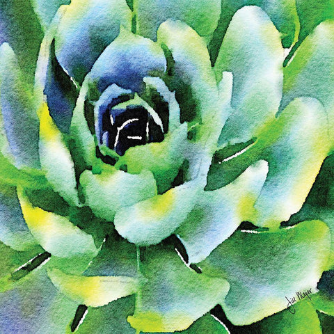Opulent Succulents I Black Modern Wood Framed Art Print by Meyer, Jill