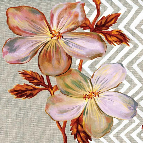 Brilliant Petals I White Modern Wood Framed Art Print with Double Matting by Ferry, Margaret