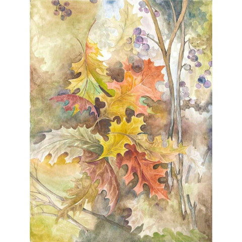 Treasures from Nature Gold Ornate Wood Framed Art Print with Double Matting by Ferry, Margaret