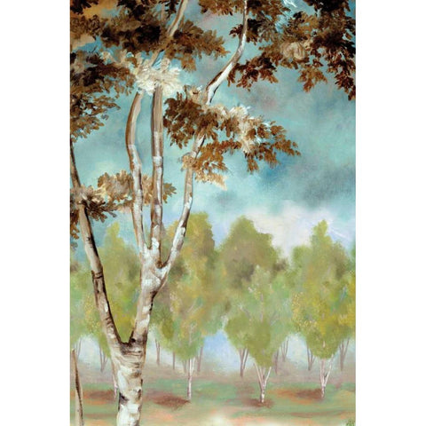 Birch Forest I Black Modern Wood Framed Art Print by Ferry, Margaret