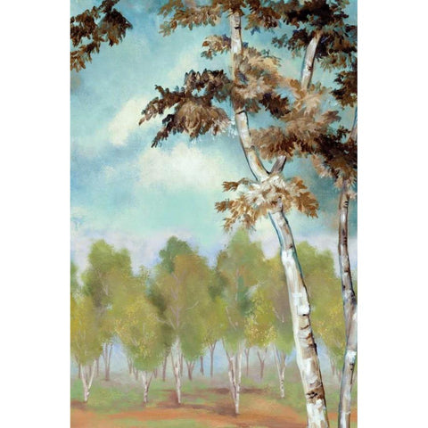 Birch Forest II White Modern Wood Framed Art Print by Ferry, Margaret