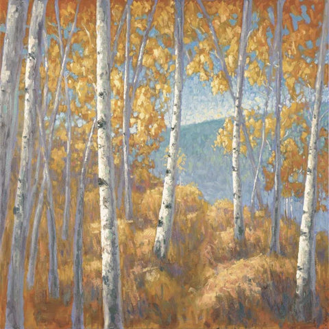 Fall Aspen I White Modern Wood Framed Art Print by Macnab, John