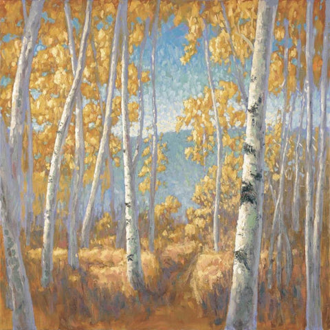 Fall Aspen I White Modern Wood Framed Art Print with Double Matting by Macnab, John