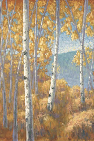 Aspen Forest I White Modern Wood Framed Art Print with Double Matting by Macnab, John