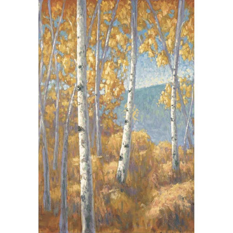 Aspen Forest I Black Modern Wood Framed Art Print with Double Matting by Macnab, John