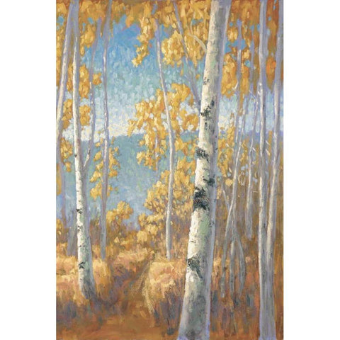 Aspen Forest II Gold Ornate Wood Framed Art Print with Double Matting by Macnab, John