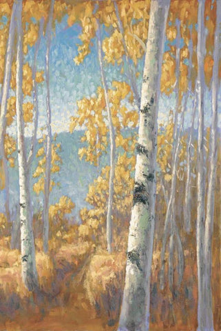 Aspen Forest II White Modern Wood Framed Art Print with Double Matting by Macnab, John