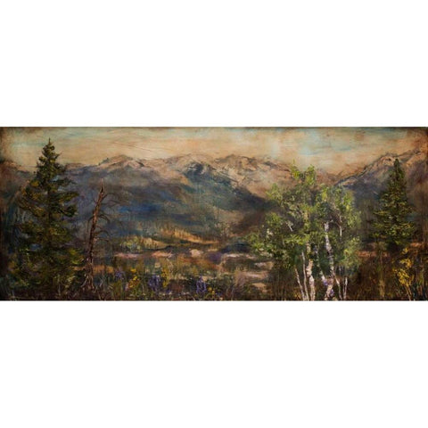 Bitterroot Valley I Black Modern Wood Framed Art Print with Double Matting by Monahan, Jodi