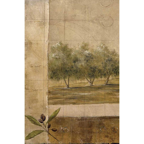 Olive Groves I White Modern Wood Framed Art Print by Martin, Cheryl