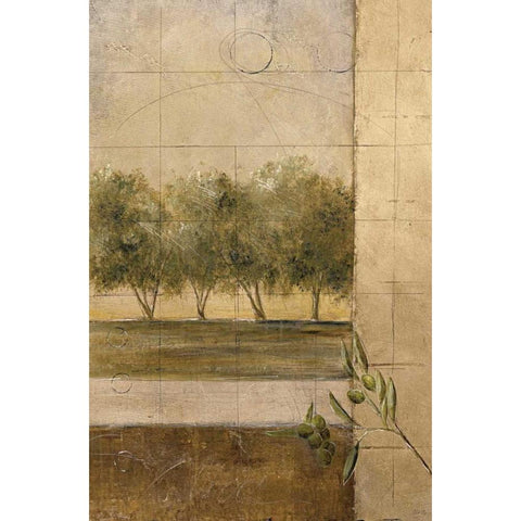 Olive Groves II Gold Ornate Wood Framed Art Print with Double Matting by Martin, Cheryl