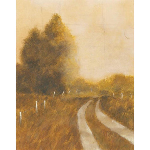 Traveled Path II White Modern Wood Framed Art Print by Martin, Cheryl