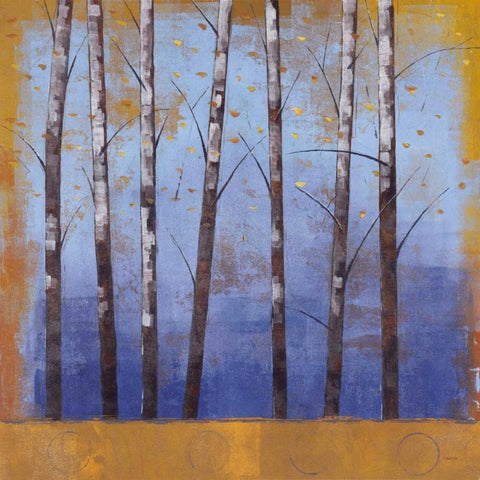 Birch Trees II Black Modern Wood Framed Art Print with Double Matting by Martin, Cheryl