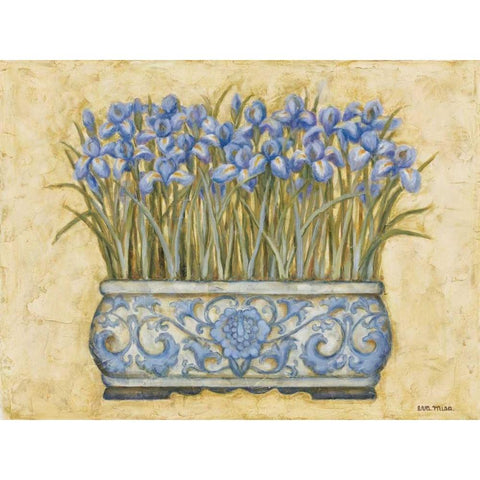 Blue Irises White Modern Wood Framed Art Print by Misa, Eva