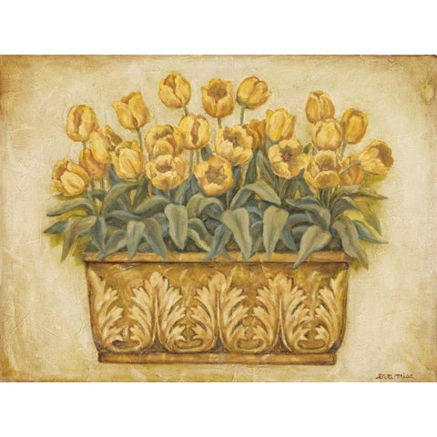 Yellow Tulips White Modern Wood Framed Art Print by Misa, Eva