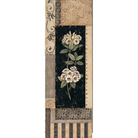 Victorian Summer I Black Modern Wood Framed Art Print with Double Matting by Misa, Eva