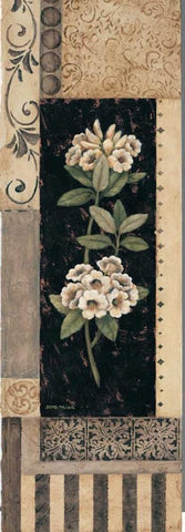 Victorian Summer I Black Ornate Wood Framed Art Print with Double Matting by Misa, Eva