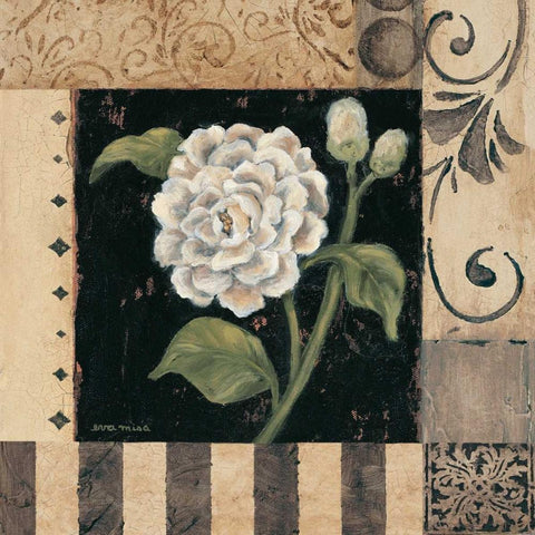 Victorian Summer IV Black Modern Wood Framed Art Print with Double Matting by Misa, Eva