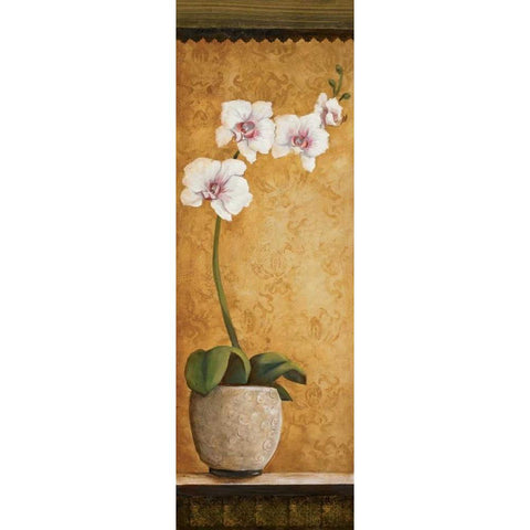 Hannas Orchids I White Modern Wood Framed Art Print by Osborne, Susan