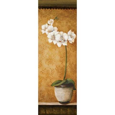 Hannas Orchids II Black Modern Wood Framed Art Print with Double Matting by Osborne, Susan