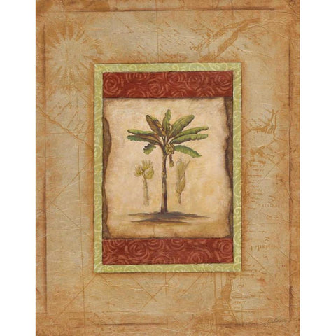 Palm Botanical Study I Black Modern Wood Framed Art Print with Double Matting by Osborne, Susan