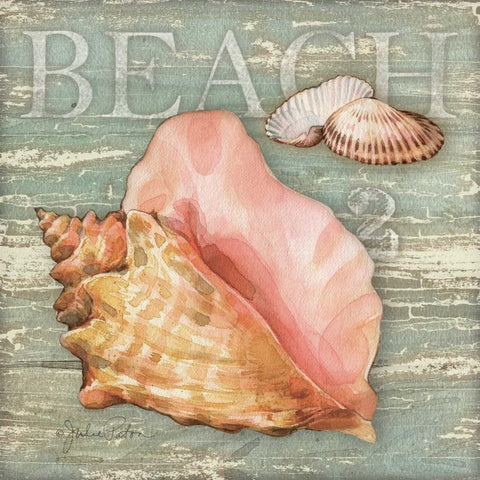 Beach Shells Conch White Modern Wood Framed Art Print by Paton, Julie